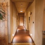 A warm, inviting hallway featuring wooden doors and floor, and a potted plant for added charm.